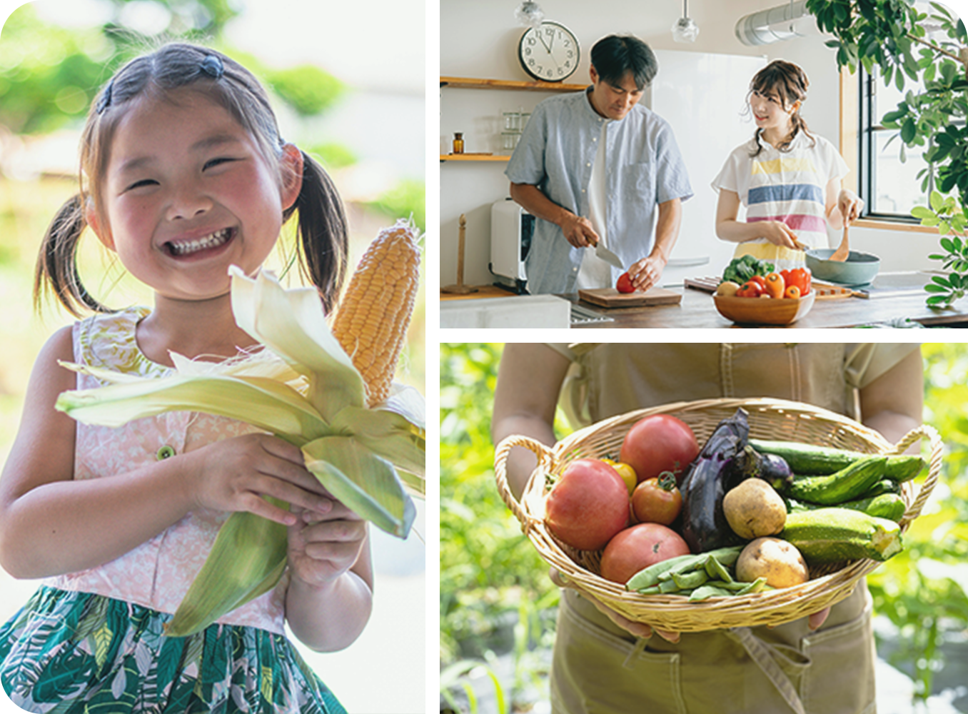 笑顔でとうもろこしを持つ女の子、台所で野菜を切る夫婦、カゴいっぱいの野菜